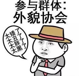 兴趣是玩爱好是吃表情包无水印版
