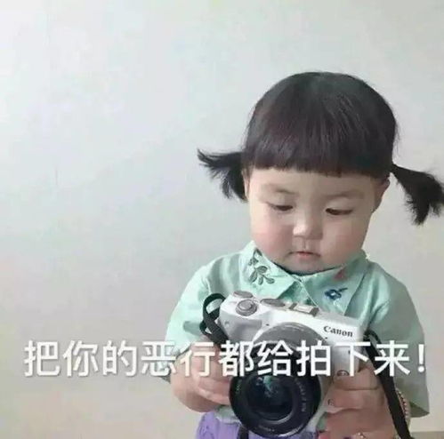 每晚分享沙雕表情包