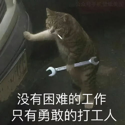搬砖表情图片搞笑打工