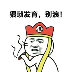 王者荣耀表情包