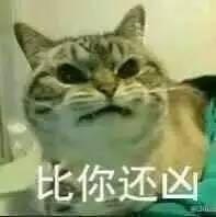 搞笑表情包你跟我说这些没用用,因为我只是一只猫