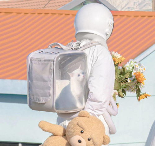 情头丨情侣头像