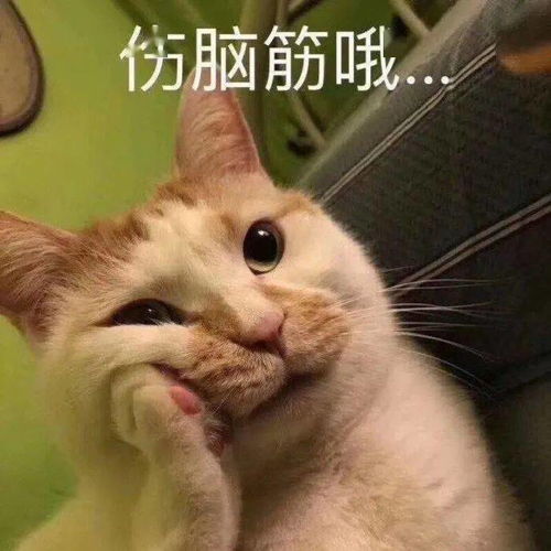 今日份沙雕表情包