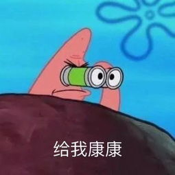 好玩的表情包