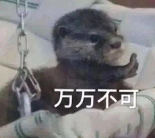 搞笑表情包