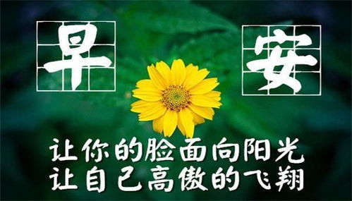 最精辟的人生哲理感悟,经典正能量