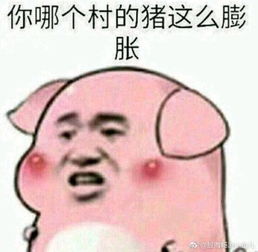 股海畅游小鱼儿的主贴用户中心新浪股吧财经