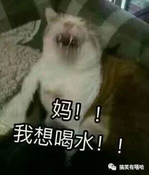 放假了,万万没想到,原来在家的你是这么逗