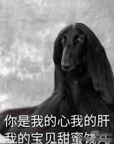 夜华被恶搞走了伏地魔又来豪华表情包姑父生无可恋