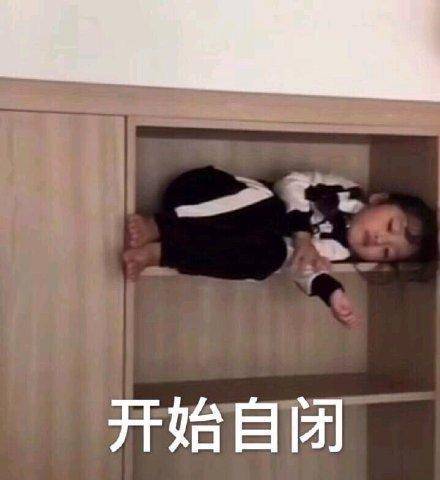 干啥都困熊猫头微信表情包合集金馆长表情包
