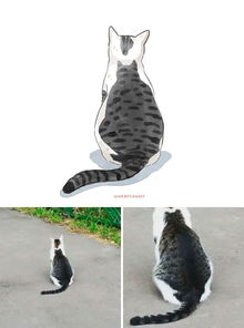 表情包已做好,来见识下互联网热传的30只搞笑猫咪