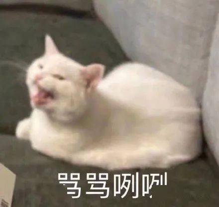 沙雕表情爱情是最不靠谱的东西