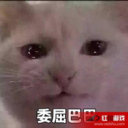 可怜表情包图片委屈