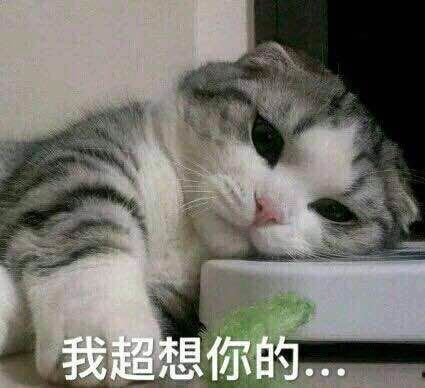 开心一刻看到女神照片俺绝望了段子