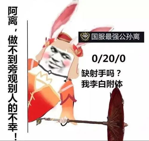 王者荣耀国服020表情包合集