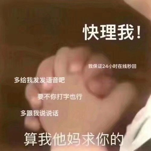 沙雕又可爱的朋友圈文案