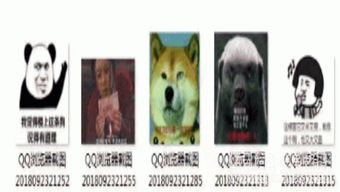 虎扑搞笑qq微信表情包虎扑搞笑表情素材v1.0正式版软件下载