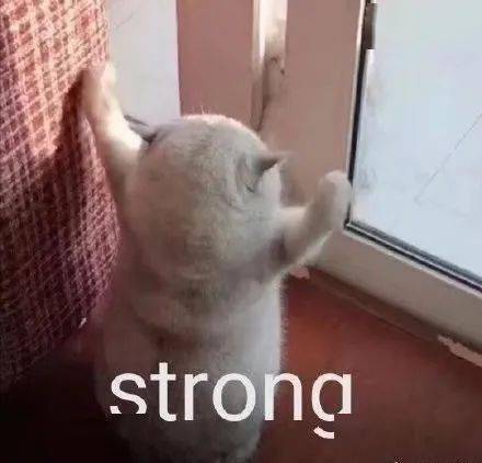 加油,考研人