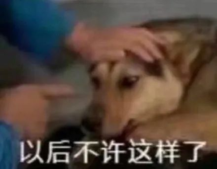 笑到喷饭的8条段子,句句幽默,让你笑到停不下来