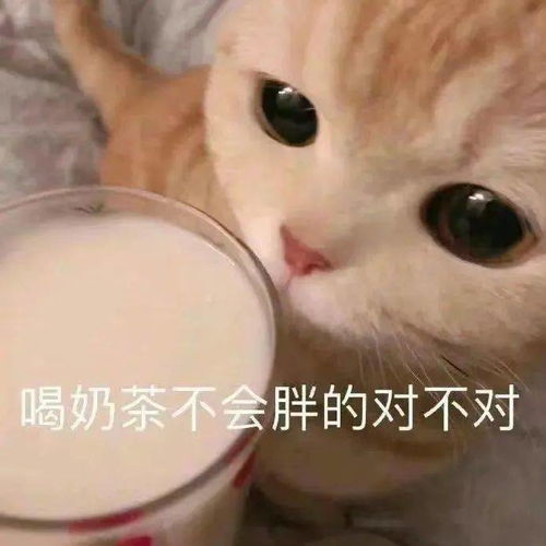 咱就是说,这么好喝的奶茶里面都有什么