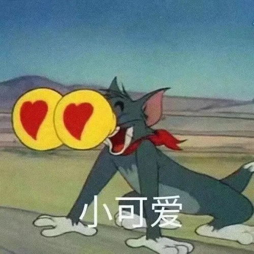 搞笑头像之表情包猫和老鼠