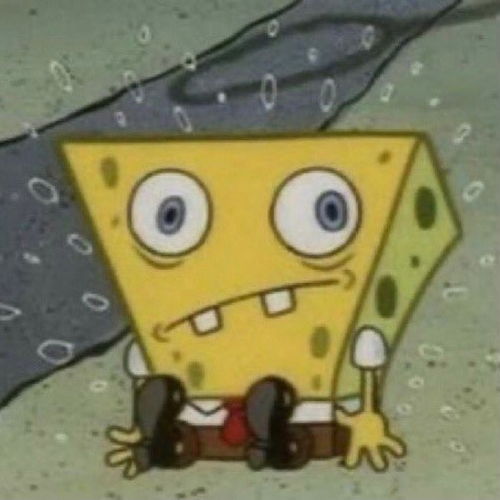 头像是你们的好朋友海绵宝宝