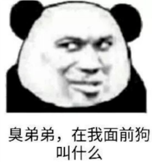 沙雕熊猫头表情包她咋不喝热水呢