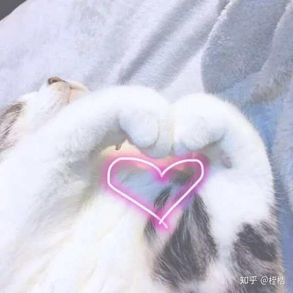 有哪些甜甜的百合之间的故事或者表白时的一些故事