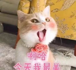 不堪入目固安多个小区墙上出现这些图案,看完真气人...