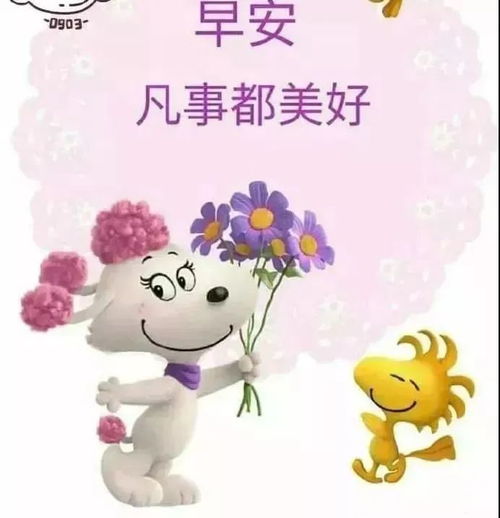 早上好,许一个美妙的心愿祝福你万事圆圆快乐连连微笑甜甜