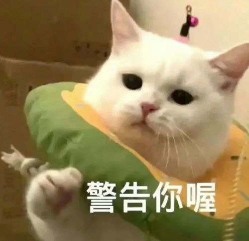 把女性主义带入工作后,这个班还能再上上