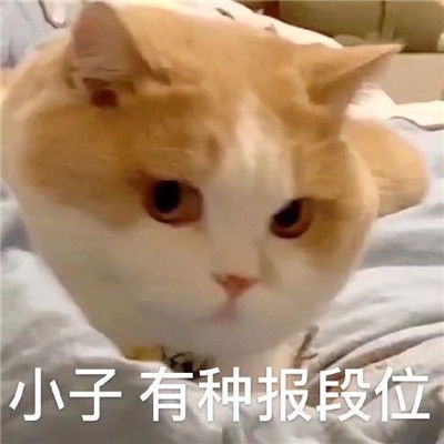 一组搞怪表情包可爱又很幽默逗比必备的一款聊天表情2021