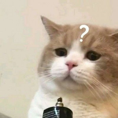 搞笑动物头像