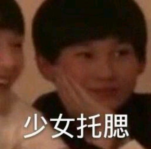 tnt全员沙雕表情包合集