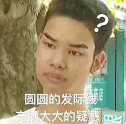 今日热门斗图表情包圆圆的发际线,充满大大的疑惑