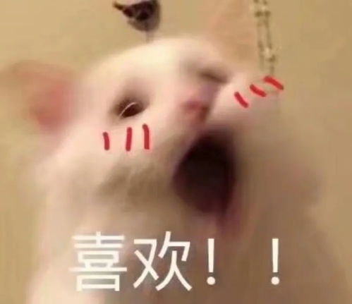 不能随意进校搞活动考核评比少50厦门教师减负规定来了