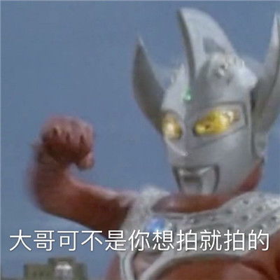现在又两只单身狗在对视既沙雕又可爱的搞怪聊天表情包