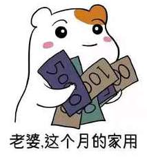 抖音哄老婆专用表情包大全听老婆的话表情包分享