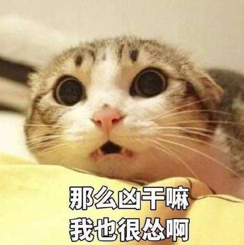 幽默笑话,昨天陪老公去买衣服,看见一件暗红色大衣我很喜欢