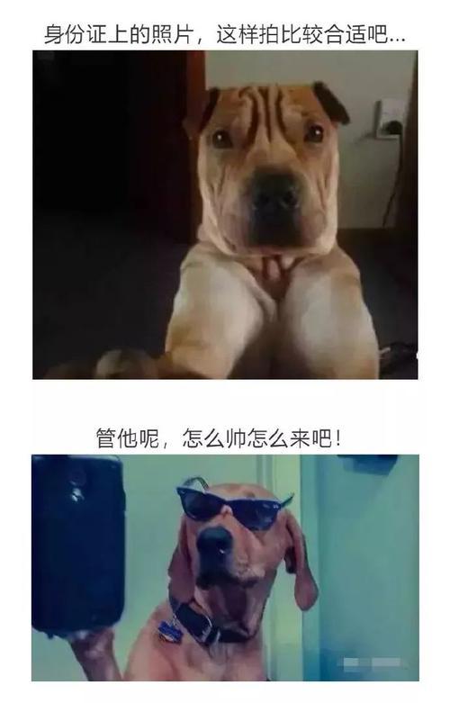 要学我这样,漏出一点点牙齿才好看