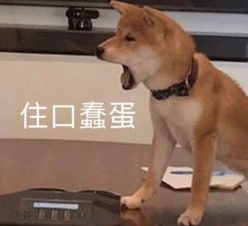 e句话看天下丨他额头挂1.5亿元粉钻,被粉丝抠走