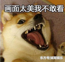 顶着这么大一张嘴还能演偶像剧的只服王大陆和杨颖