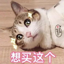 表情包,语言文字的另类表达