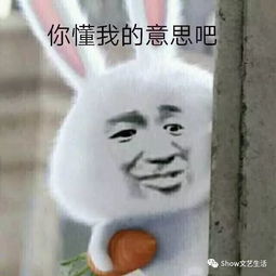 看似有道理的恶心歪理你有没有深受其害