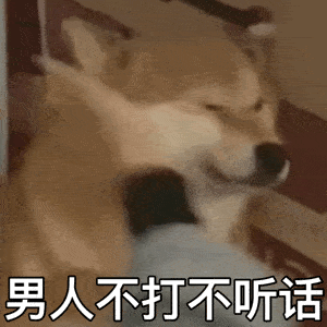 表情包动图男人不打不听话
