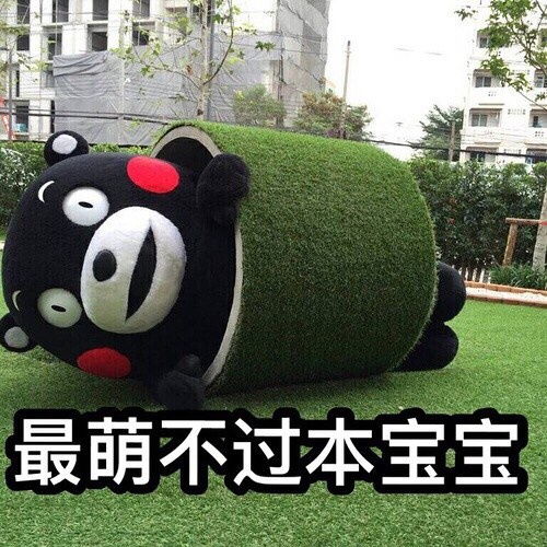 有没有什么蛇精病脑洞大的小言推荐
