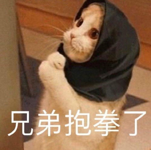 搞笑gif你昨晚开车干嘛去了