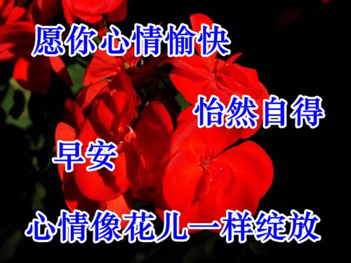 漂亮的早上好聊天表情图片,开启你新的一天,