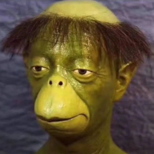 很丑很搞怪的头像