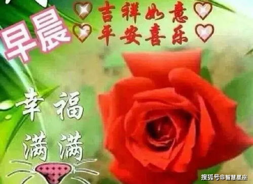 早安搞笑图片表情包问候